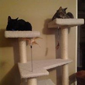 Foto von Tammy Bakken
