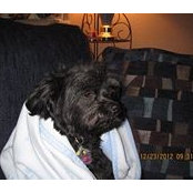 Teri Beagley's photo