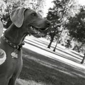 Alison Pleasants's photo
