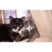 Janice Stoyer's photo