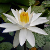 Wendy Mathis's photo