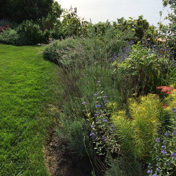 Pollinator and Rain Gardens
