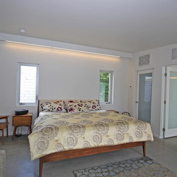 Classic Alexander Modern Palm Springs Beauty