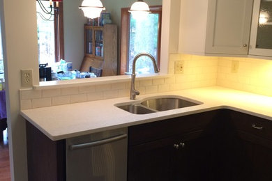 Kitchen - transitional kitchen idea in Boston