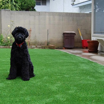 Pet Turf San Diego