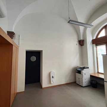 Aménagement et décoration végétaux stabilisés / espace de coworking