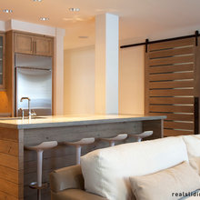Barn Doors