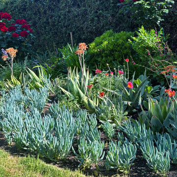 Agoura Hills Yardscape