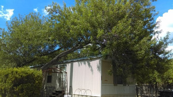 Fallen Tree Removal in Live Oak, TX