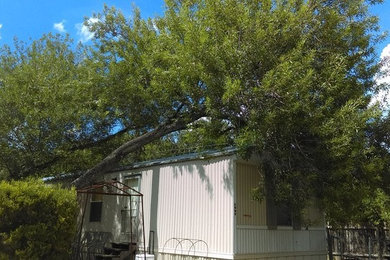 Fallen Tree Removal in Live Oak, TX