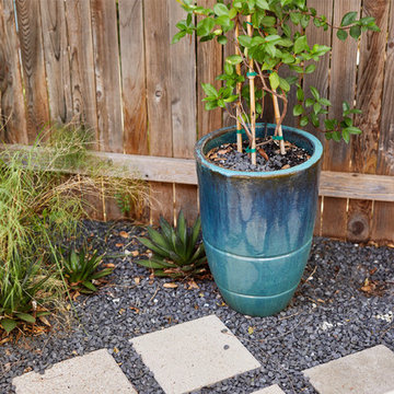 Brentwood Plunge Courtyard
