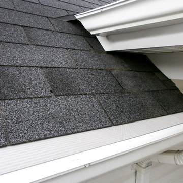 LeafFilter Gutter Guards