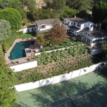 Benedict Canyon
