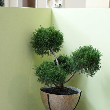 MCM redux, 1960 -2010 Home & Garden Show