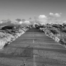 SD - Current Torrey Pines Photos