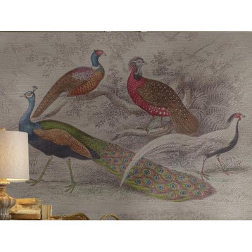 Wall Art Print 19th C Peacock Inspired by a Hand-Colored Peacocks