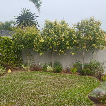 San Clemente Residence