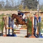 Sarah Mayer's photo