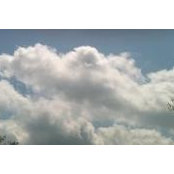 Jessica Volentine's photo
