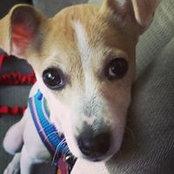 Amanda Krom's photo