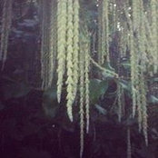 Talia Arthur's photo