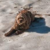 Daniel King's photo