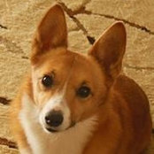 Foto von Cynthia Bly