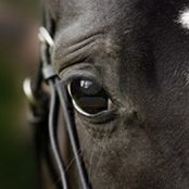 Tara Broad's photo