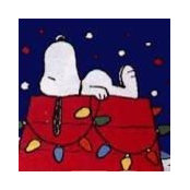 Carolyn MacDowell's photo