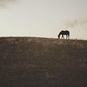 Foto von Sam Porter