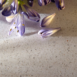 Silestone Blanco Maple - Kitchen Countertops