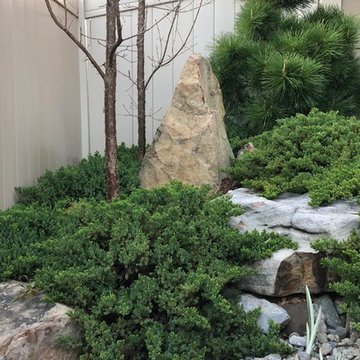 Asian-Inspired Courtyard Garden, 3 years later.