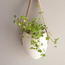 LIving Room Wall