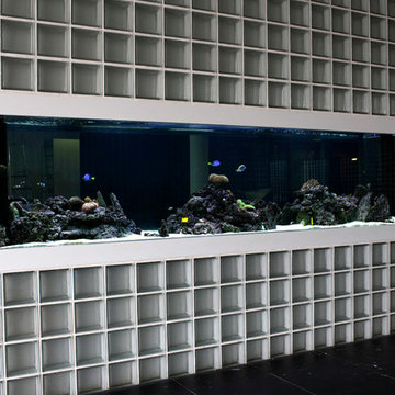 ADn Saltwater aquarium at a private school
