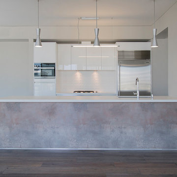 Down Town Chic and Modern Kitchen Remodel