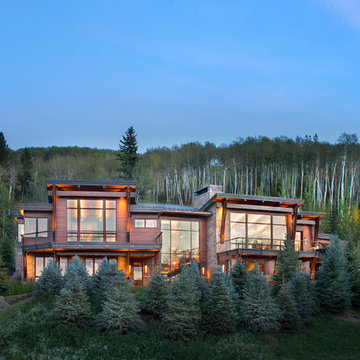Z House 2