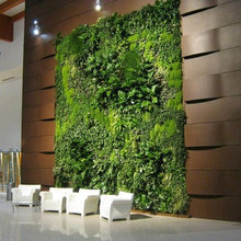 Living Walls
