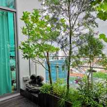 Poets: Patio/Balcony