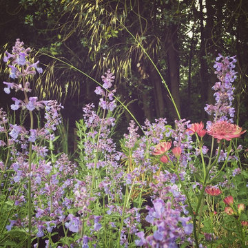 Surrey Garden