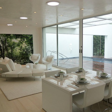 Studio1Plaster Featured Projects
