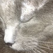 Maura O'Brien's photo