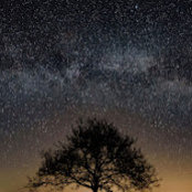 Jake Bowen's photo