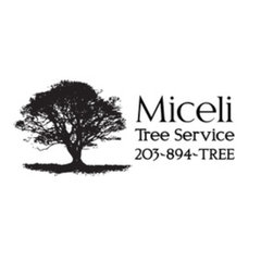Miceli Tree Services