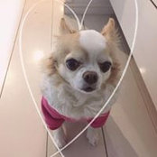 Manami Miyata's photo