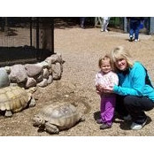 Rhonda Jurries_Trapp's photo