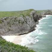 Foto von Catherine Grossman