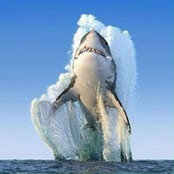 Oleg Voropaev's photo