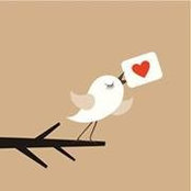 Hadeer Rabee's photo