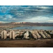 חיים בכר's photo