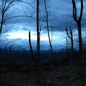 Katie Townsends foto